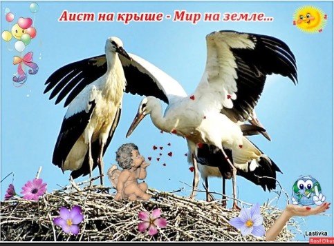 Аист на крыше мир на ще Ле