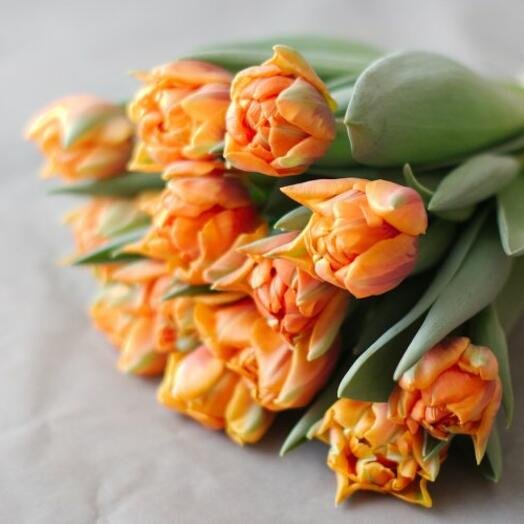 Тюльпан пионовидный оранжевый