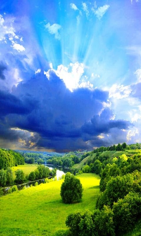 Красивая яркая природа