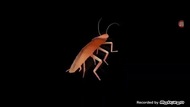 Таракан Сергей флексит под Татарстан