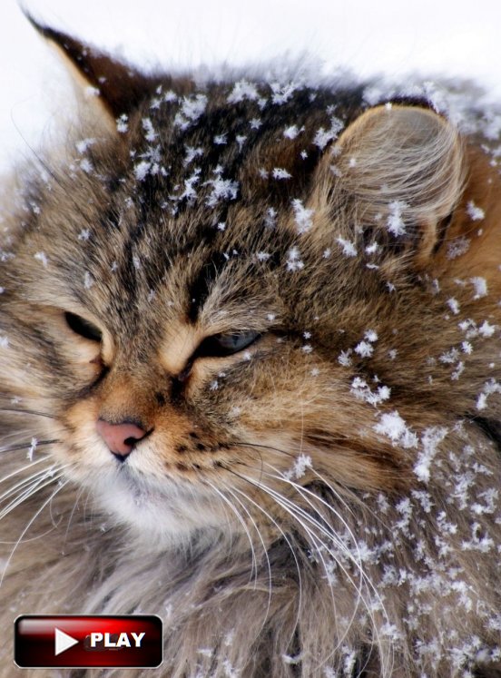 Пушистый снег