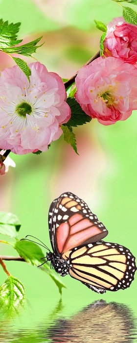 10.1" Планшет DEXP Ursus b31 32 ГБ 3g