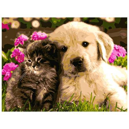 Щенок и котенок