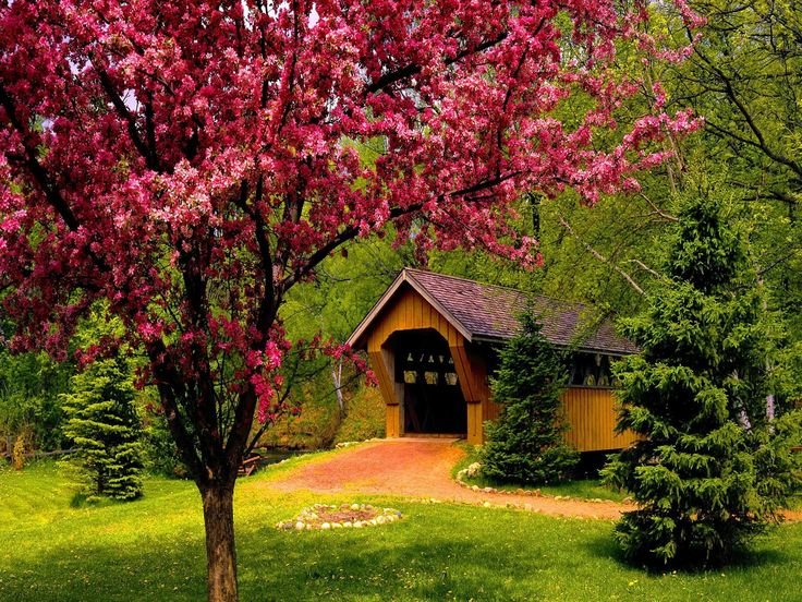 Весенний домик