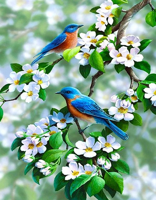 Весна птицы