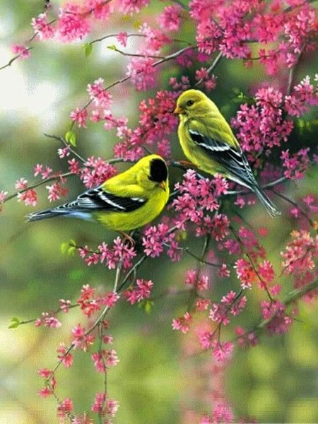 Rosemary Millette художник