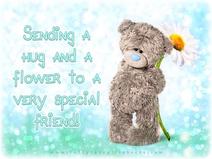 Мишка Тедди