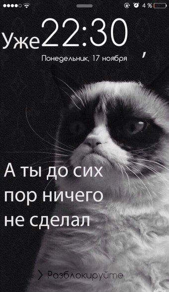 Прикольные надписи на телефон на экран