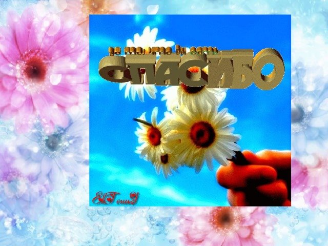 Международный день спасибо 11 января