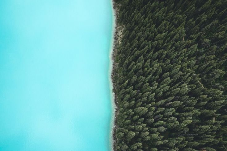 Природа вид сверху