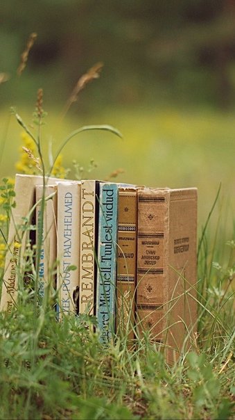 Стопка книг на природе