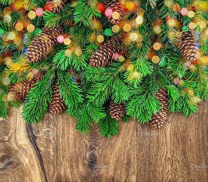 Хвойные ветки