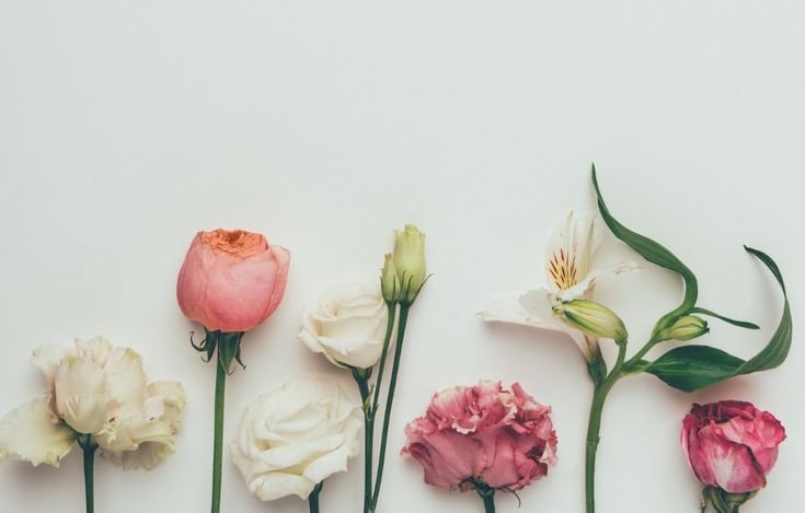 Цветы на Светлом фоне