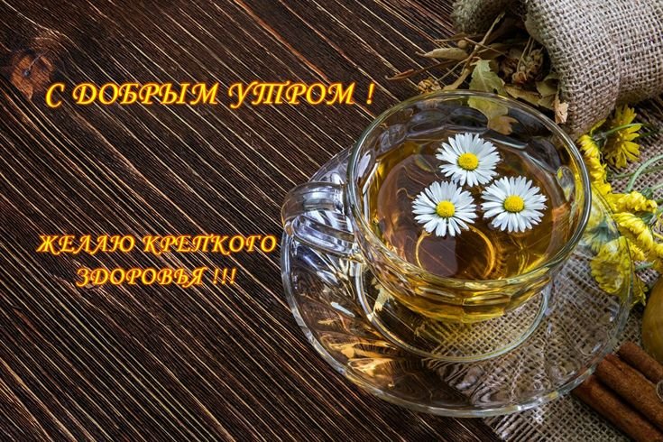 Травяной чай в чашке