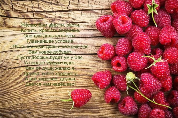 Красивые ягоды