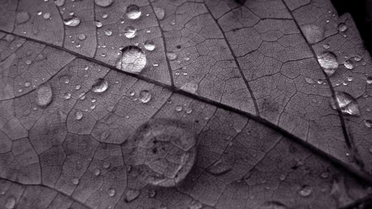 Серая заставка на рабочий стол