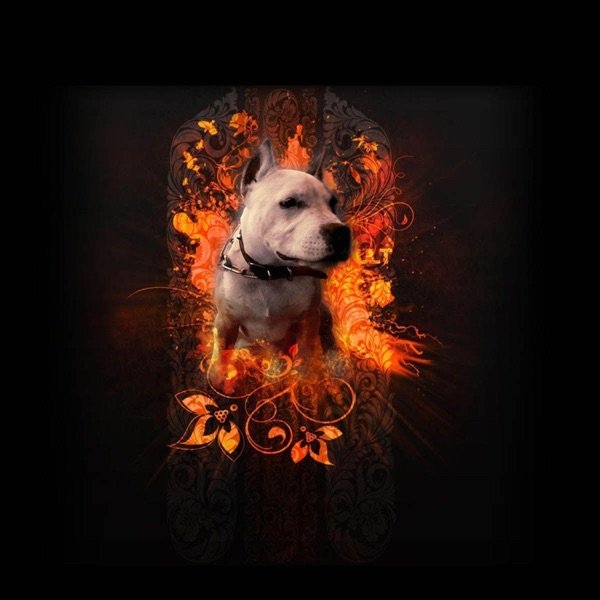 Огненная собака