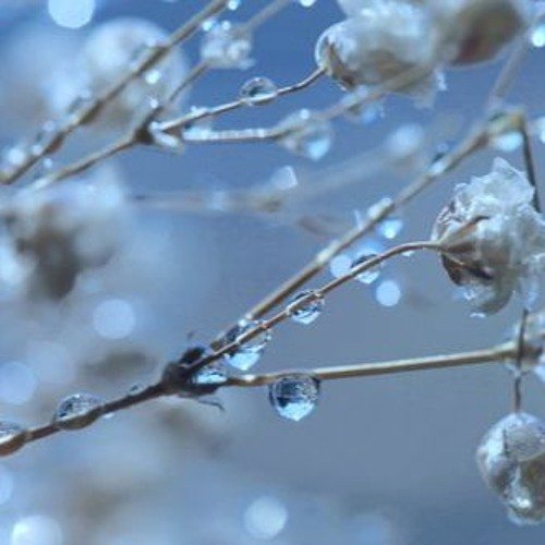 Ранняя Весна