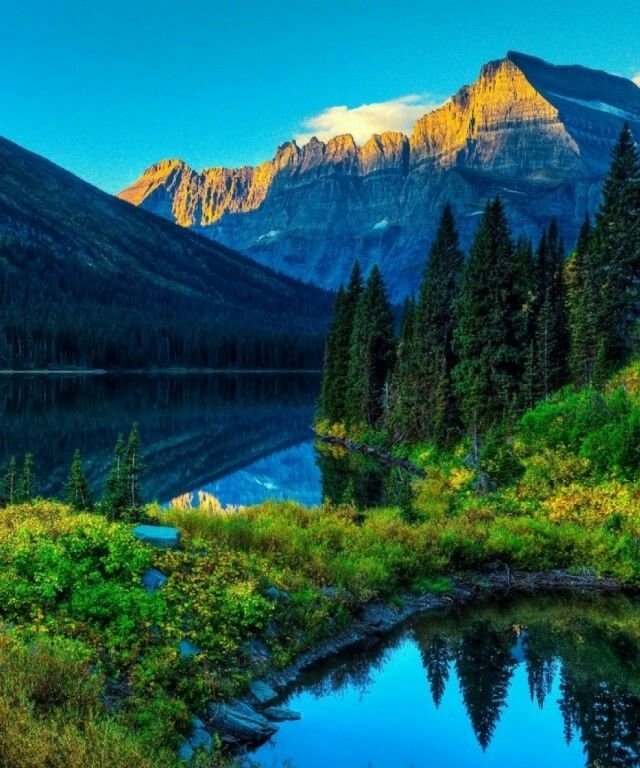 Шикарная природа