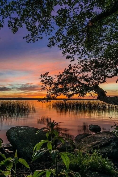 Шикарная природа