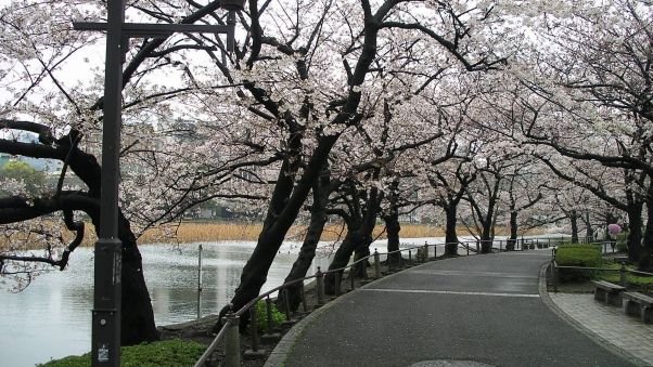 Весенний город