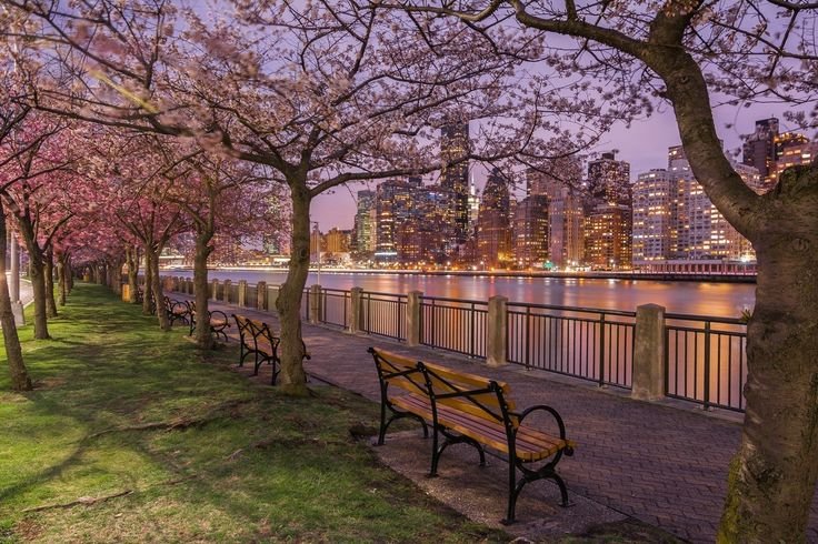 Центральный парк Нью-Йорк лавки