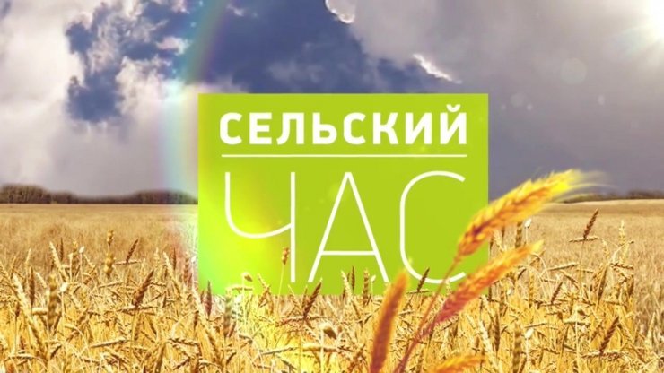 Сельский час телепередача