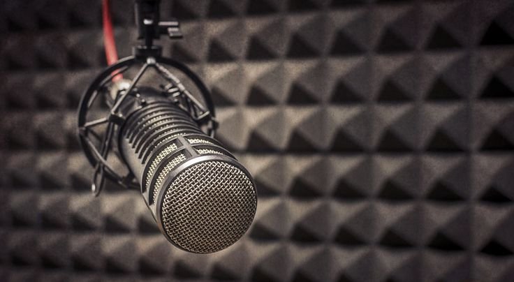 Микрофон студийный v260