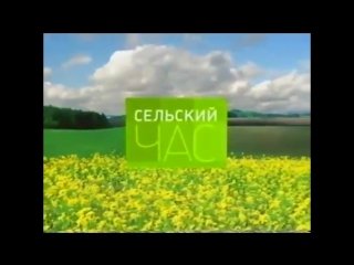 Сельский час телепередача