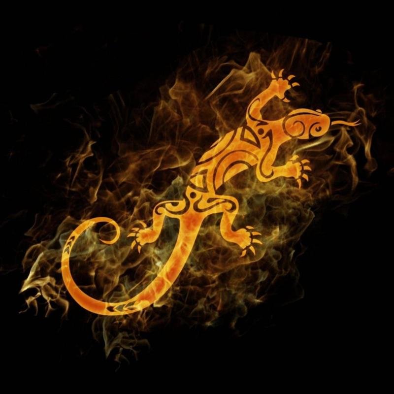 Огненная саламандра Гарри Поттер